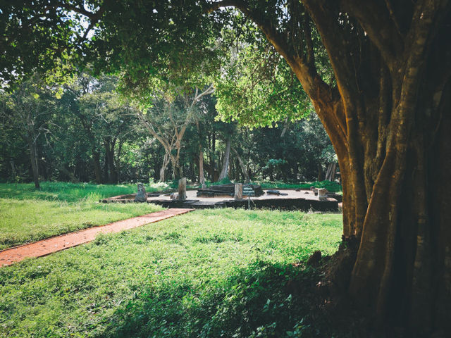 斯里蘭卡｜蒼穹之下，唯有一石