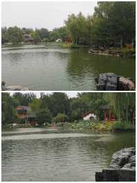 雨潤大觀.翠影浮光