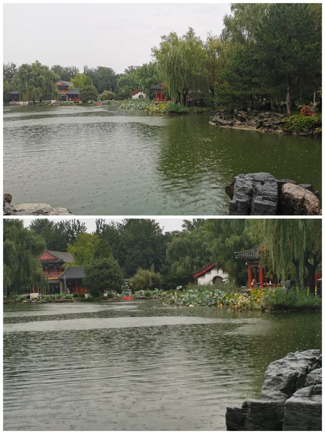 雨潤大觀.翠影浮光 雨潤大觀.翠影浮光