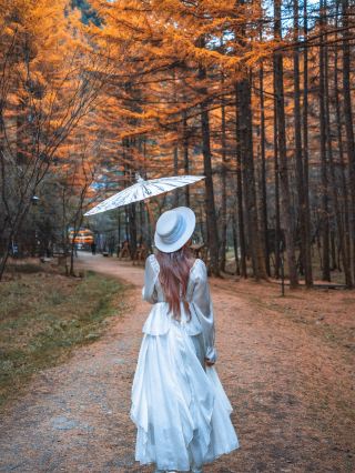邯鄲賞紅葉天花板！太行五指山絕美秋景揭秘
