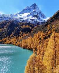 藏在川西深處的秘境！黨嶺3天2夜，解鎖少有人知的極致浪漫