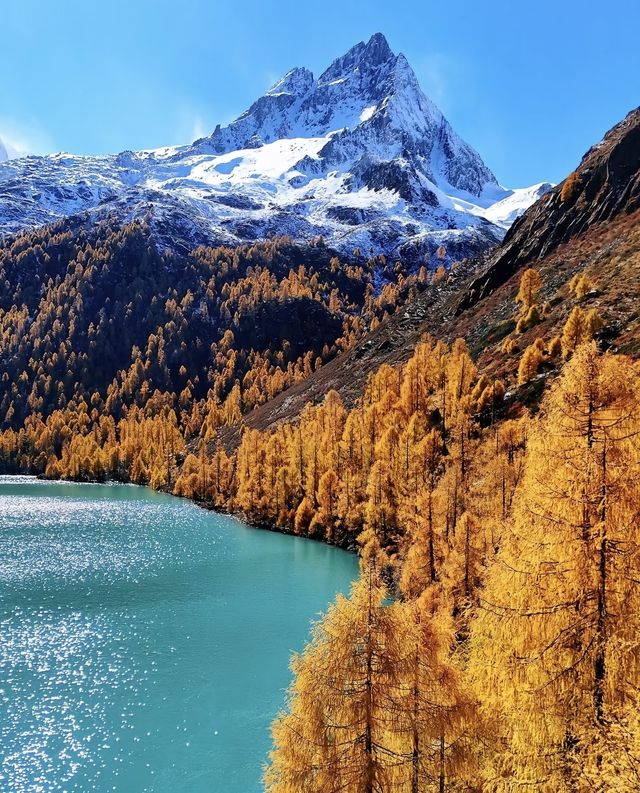 藏在川西深處的秘境！黨嶺3天2夜，解鎖少有人知的極致浪漫