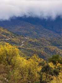 秋色限定牛背山私藏小團，2-8人暢玩雲端仙境！