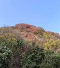 濟南賞秋之紅葉谷