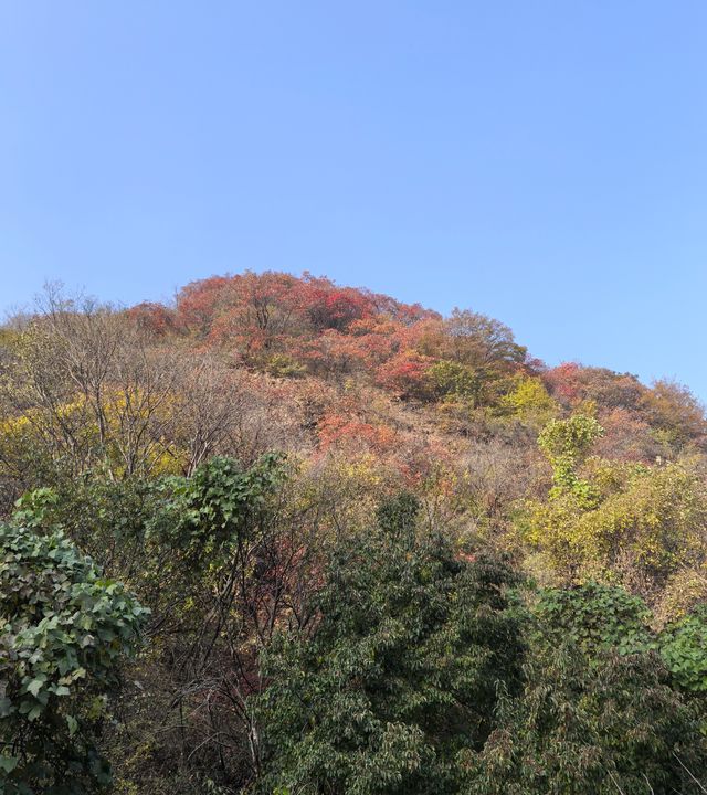 濟南賞秋之紅葉谷 濟南賞秋之紅葉谷