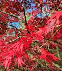 Hidden Gem of Serenity