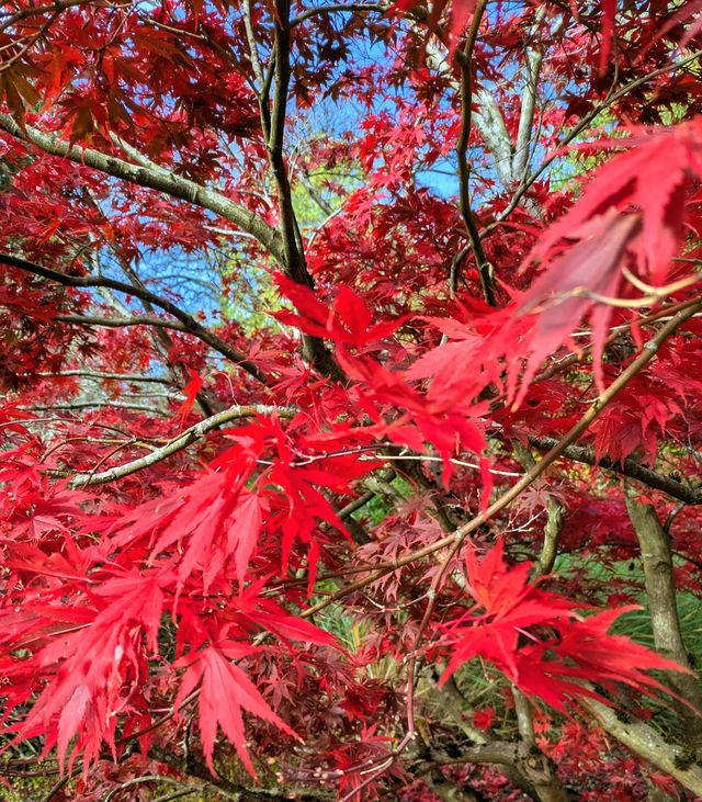 Hidden Gem of Serenity Hidden Gem of Serenity