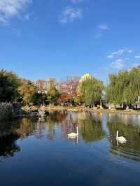 這個公園必須得去啊