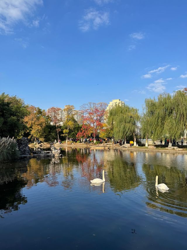 這個公園必須得去啊