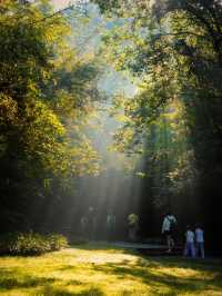 武夷山秋日秘境，美到窒息的旅行攻略