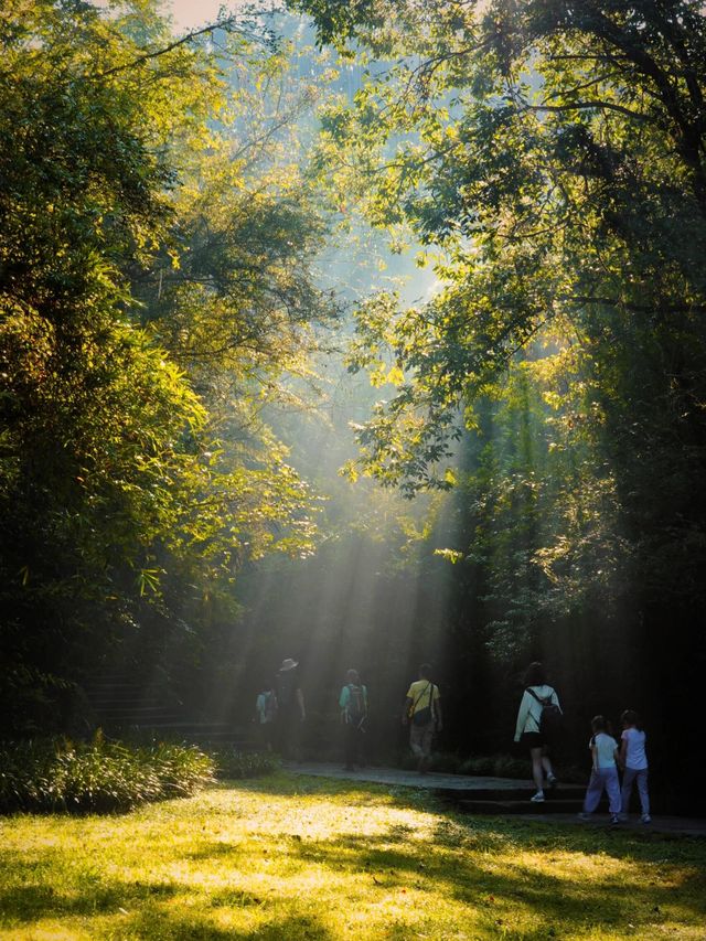 武夷山秋日秘境，美到窒息的旅行攻略