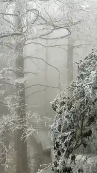 年初帶著師父的任務拜訪廬山仙人洞道院