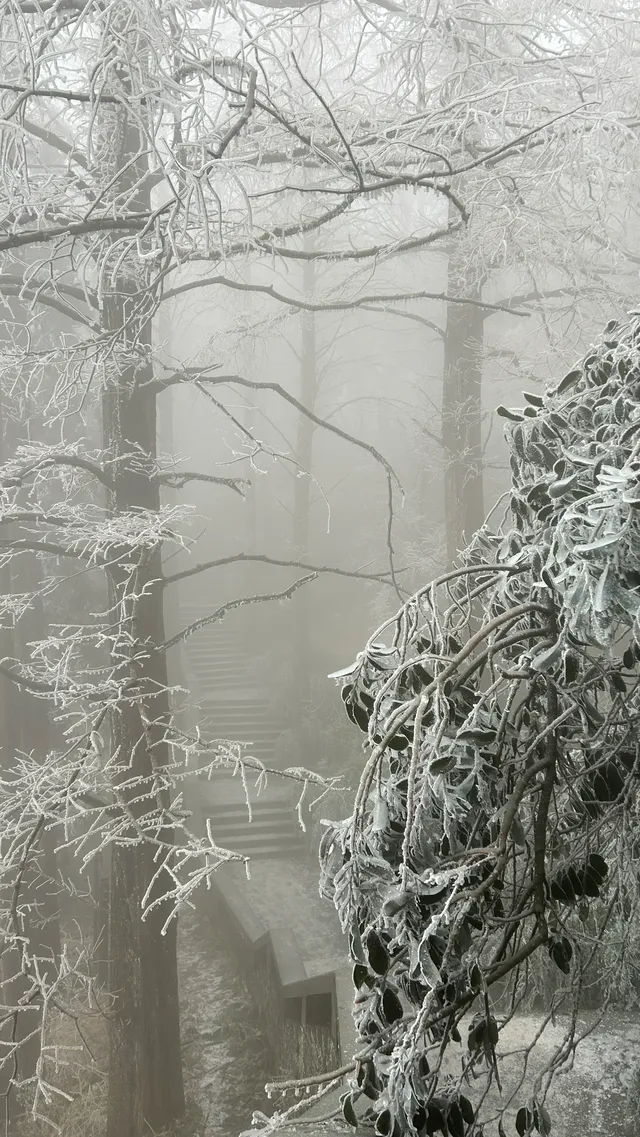 年初帶著師父的任務拜訪廬山仙人洞道院 年初帶著師父的任務拜訪廬山仙人洞道院