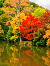 秋日限定｜雲平山私藏童話秘境小眾到喊！