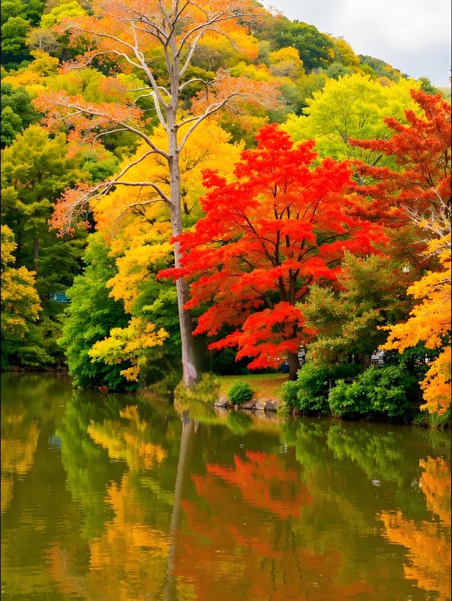 秋日限定｜雲平山私藏童話秘境小眾到喊！