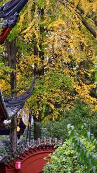 成都 1h，8 元的秋日崇州罨畫池，人間值得