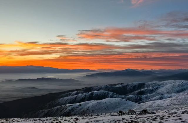 7天暢遊張掖等地攻略全在這