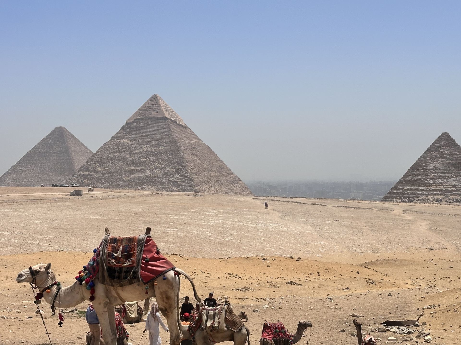 8-Day Egypt Nanny-Level Guide, Come Copy Quickly!