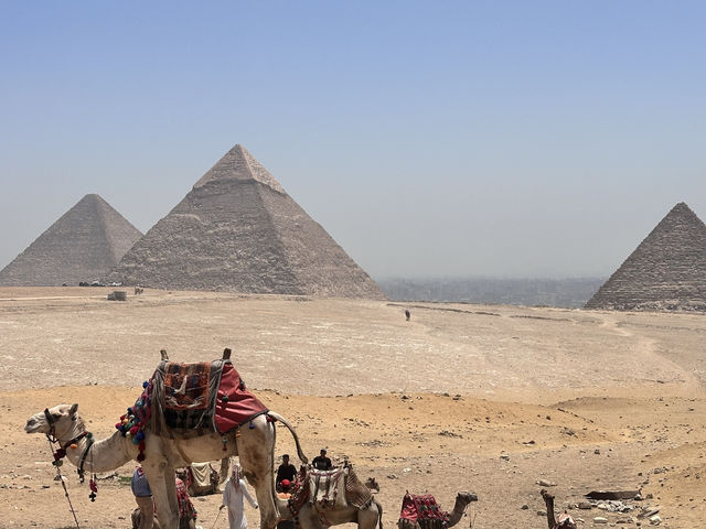 埃及8天保姆級攻略速來抄作業