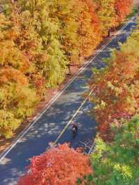 南京99%的人都不知道這裡， 出片還人少