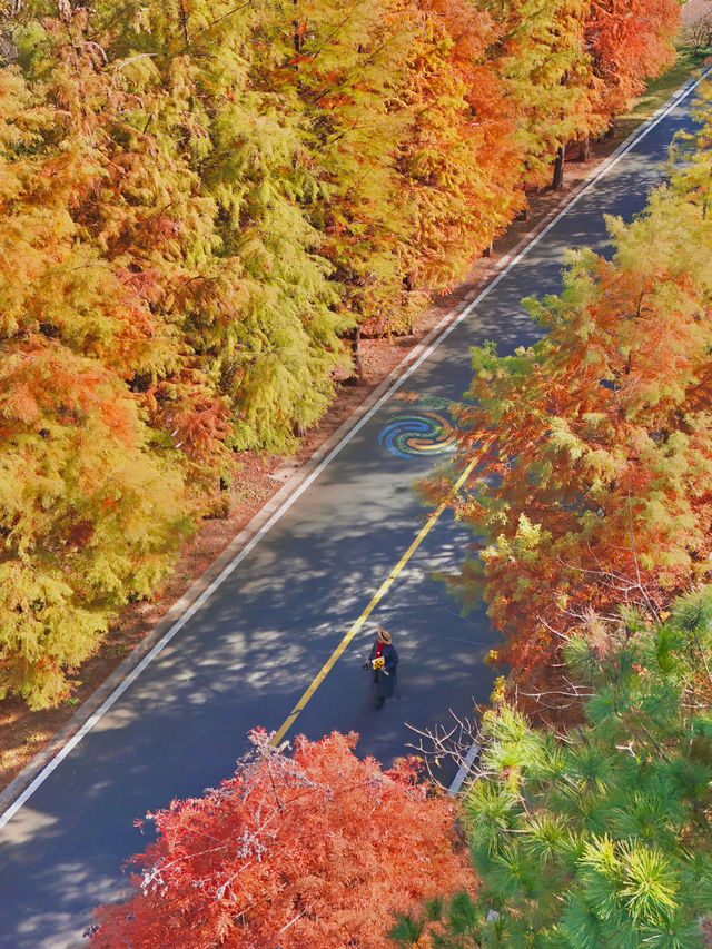 南京99%的人都不知道這裡， 出片還人少