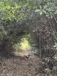 寧波徒步 | 山海徑，烽火台，風車路