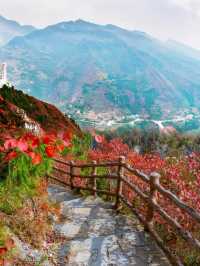 登臨三峽之巔，收藏一整個長江的秋天！