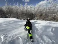 不是北歐，勝似北歐！雪後樺皮嶺