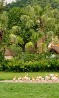 12月很適合去的旅行目的地推薦