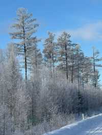 黑龍江受凍已回，真心建議大家…