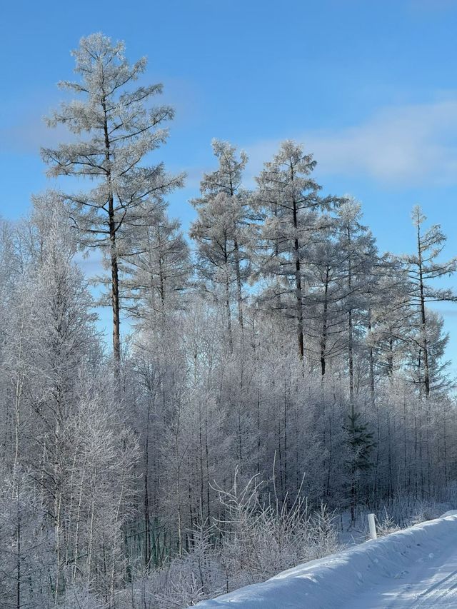 黑龍江受凍已回，真心建議大家…