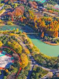 泗洪2天1夜|城東生態公園秋意濃!