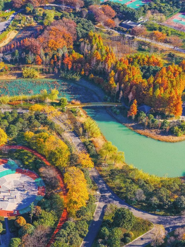 泗洪2天1夜|城東生態公園秋意濃! 泗洪2天1夜|城東生態公園秋意濃!