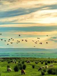 【哈密奇遇記！穿越千年絲路，邂逅大漠奇蹟】