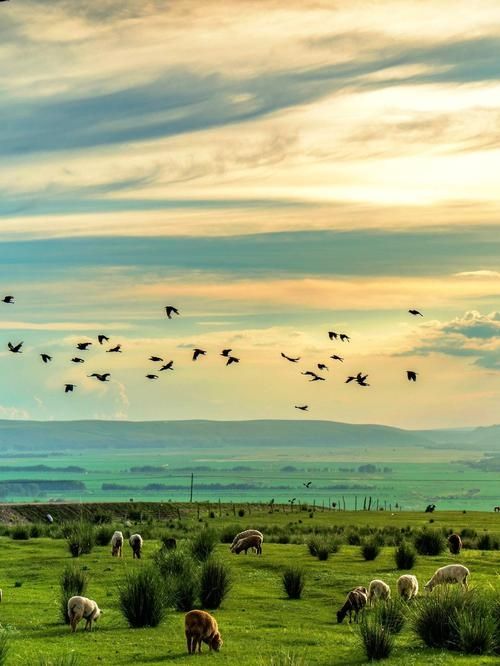【哈密奇遇記！穿越千年絲路，邂逅大漠奇蹟】