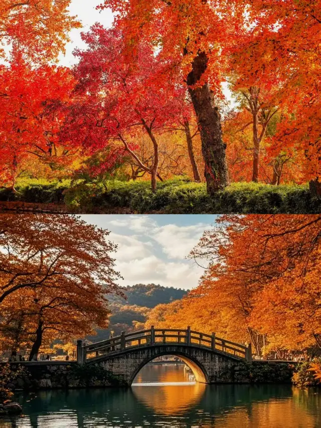 Suzhou has been overpriced, not recommended to visit, really not recommended, it's just too much～