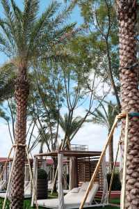 撫仙湖頂奢酒店上新，寶麗灣把愛麗絲夢遊的仙境般進現實