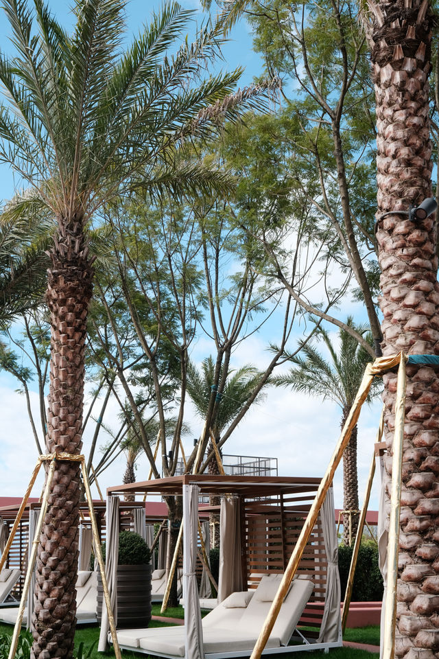 撫仙湖頂奢酒店上新，寶麗灣把愛麗絲夢遊的仙境般進現實