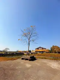 杭州灣濕地公園——承包我對秋冬的所有浪漫