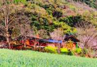 雲南怒江-霧裡村