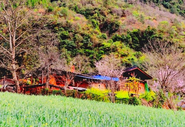 雲南怒江-霧裡村 雲南怒江-霧裡村