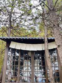 在瀘沽湖發呆3天，治癒了我所有的精神內耗