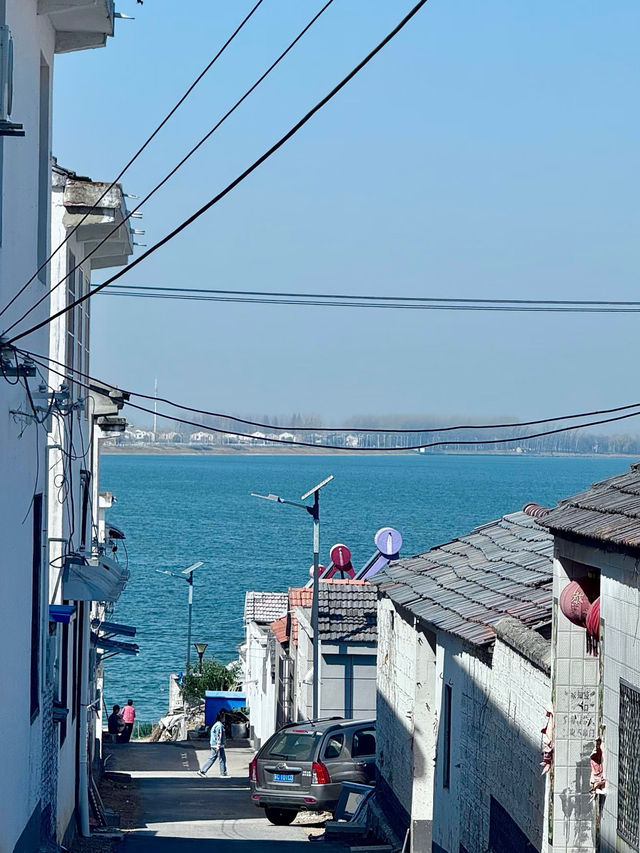 48小時闖入徐州冰雪秘境霧淞林海+古村雪韻一鍵get! 48小時闖入徐州冰雪秘境霧淞林海+古村雪韻一鍵get!