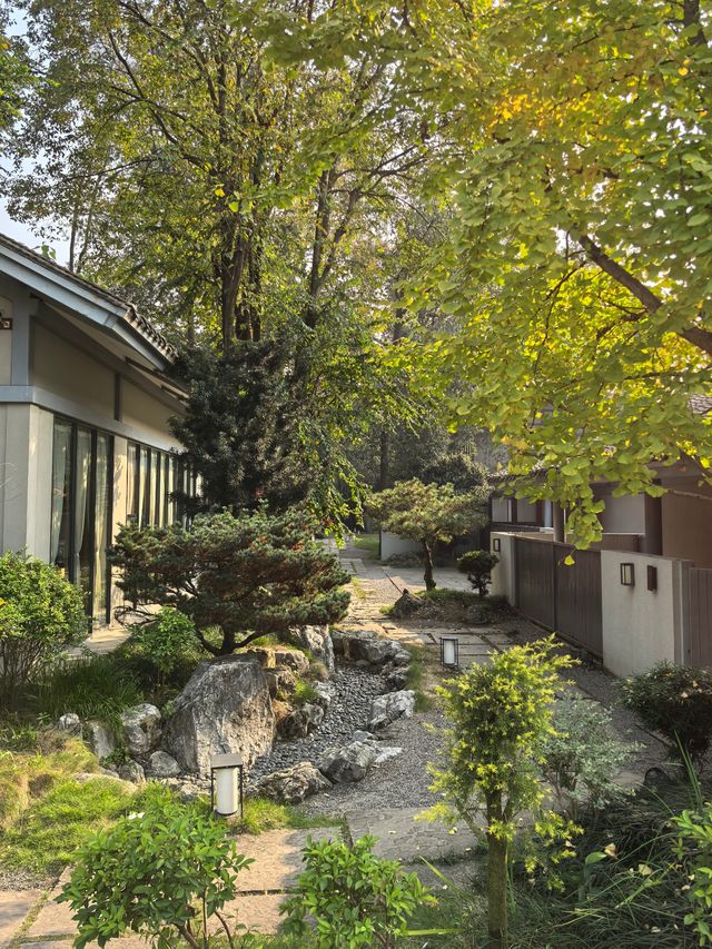 樂山旅遊必住！江景民宿直面樂山大佛