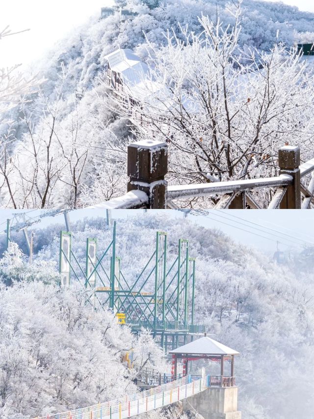 安吉雲上草原·冰雪雲端3天2晚 安吉雲上草原·冰雪雲端3天2晚