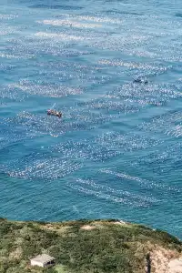 嵊泗 | 枸杞島 | 邂逅絕美日落