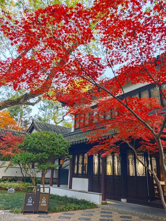 坐著11號線去看秋(上海周邊遊) 坐著11號線去看秋(上海周邊遊)