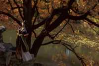 隱藏在北京頤和園裡的賞秋拍照打卡寶藏地。