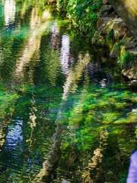 12.1實拍九溪現實版莫奈的秋日花園