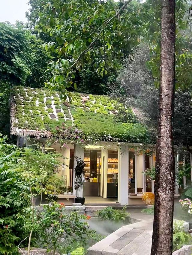 城市中心的氧吧🫧 城市中心的氧吧🫧